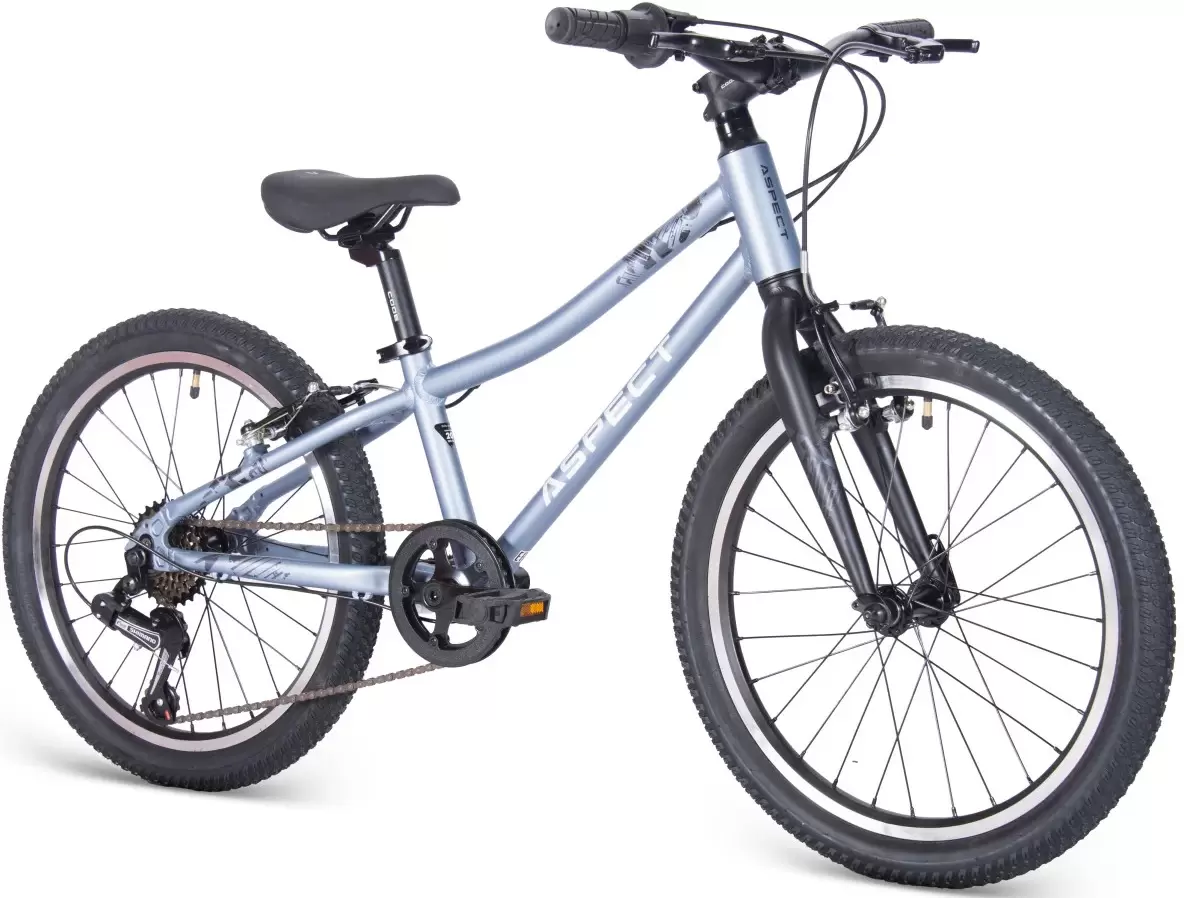Детский велосипед Aspect Champion 20 2025 (серый) фото