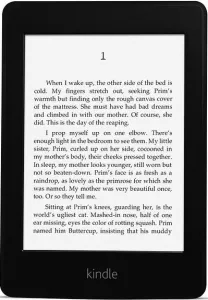 Электронная книга Amazon Kindle Paperwhite (2-е поколение) 2Gb фото