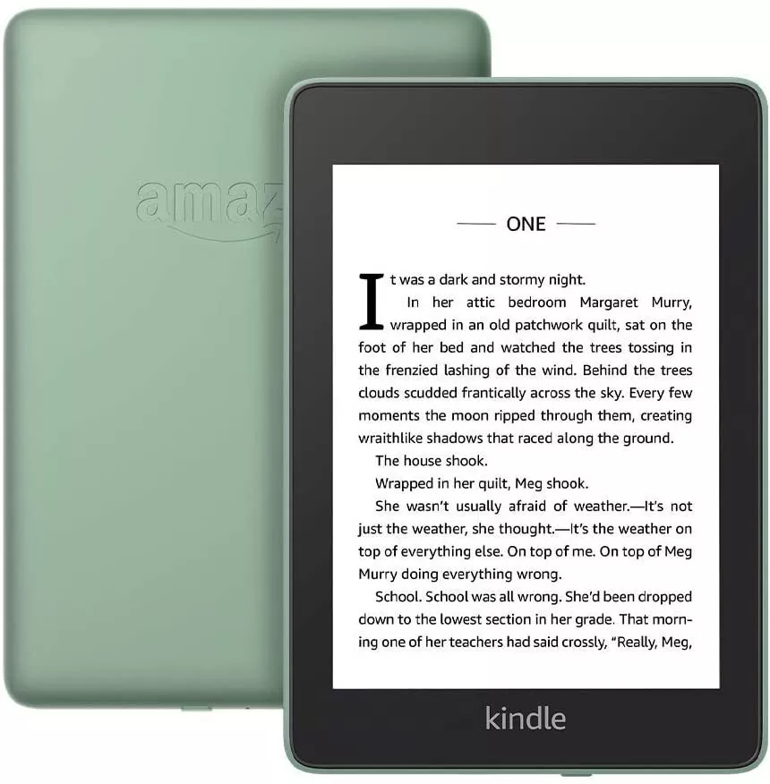 Amazon Kindle Paperwhite 2018 32GB (шалфей)