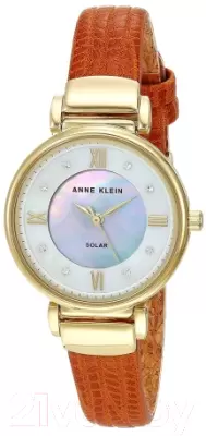Наручные часы Anne Klein AK/3660MPHY фото