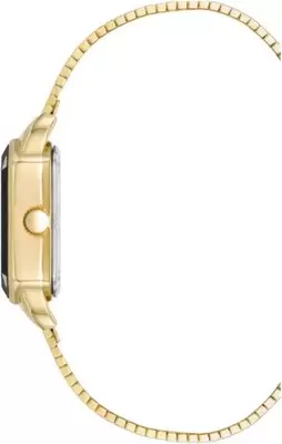 Наручные часы Anne Klein AK/5016BKGB фото