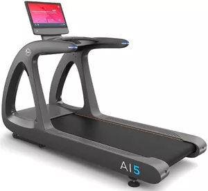 Беговая дорожка AnyFit AI-5 фото