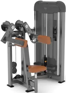 Дельт-машина AnyFit PE113-84 фото