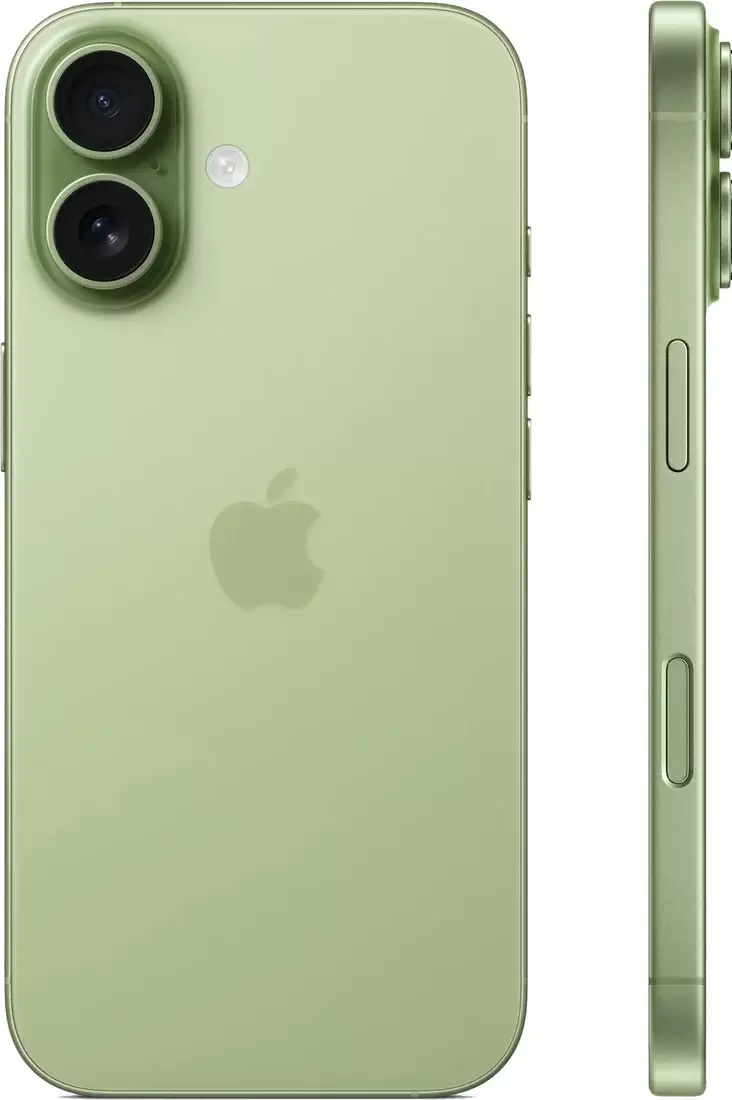 Apple iPhone 17 Dual eSIM 256GB (зеленый) фото