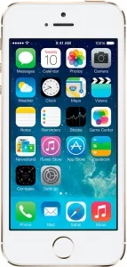 Apple iPhone 5s 64Gb Gold фото