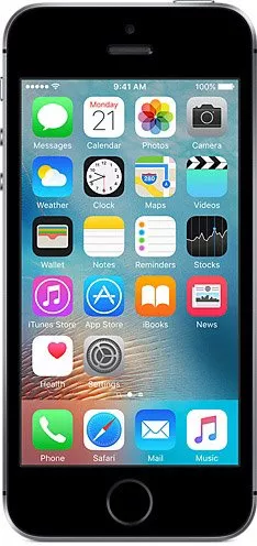 Apple iPhone SE 64Gb Space Gray