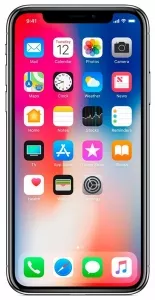 Apple iPhone X 256Gb Silver фото