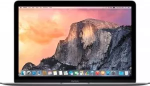 Ультрабук Apple MacBook (MJY42RS-A) фото