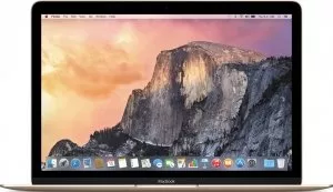 Ноутбук Apple MacBook 2016 год (MLHE2) фото