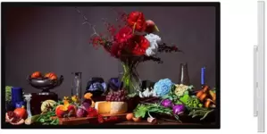 Монитор Apple Studio Display MFEY4 (со стандартным стеклом, без подставки, с креплением VESA) фото