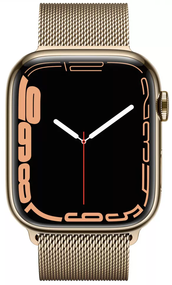 Умные часы Apple Watch Series 7 LTE 45 мм (сталь золото/миланский золотой) фото 2