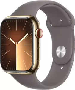 Умные часы Apple Watch Series 9 LTE 45 мм (корпус из нержавеющей стали, золотистый/темно-серый, спортивный силиконовый ремешок S/M) фото