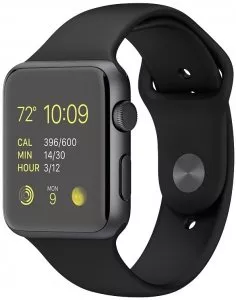 Умные часы Apple Watch Sport 42mm Space Gray with Black Sport Band (MJ3T2) фото