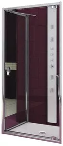 Душевая дверь Aquaform SALGADO Pivot Door 100 (103-06089) фото