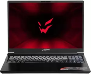 Ноутбук ARDOR GAMING RAGE R17-I7ND404 фото