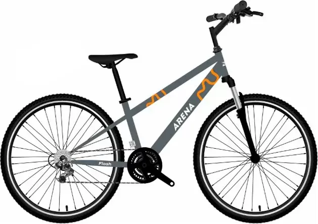 Arena Flash 24 р.12 2026 (графитовый)