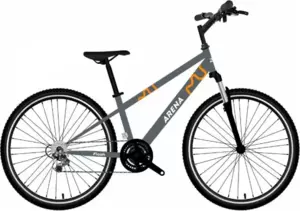 Arena Flash 24 р.12 2026 (графитовый)