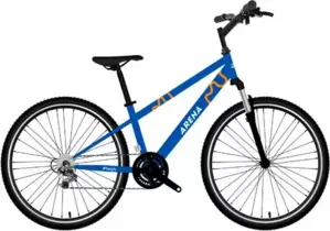 Arena Flash 24 р.12 2026 (синий)