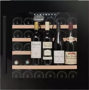 Винный шкаф Avintage AVI63CSZF фото