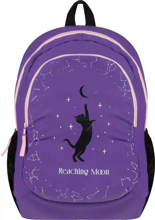 ArtSpace Classic. Get The Moon Sch_Cls65516