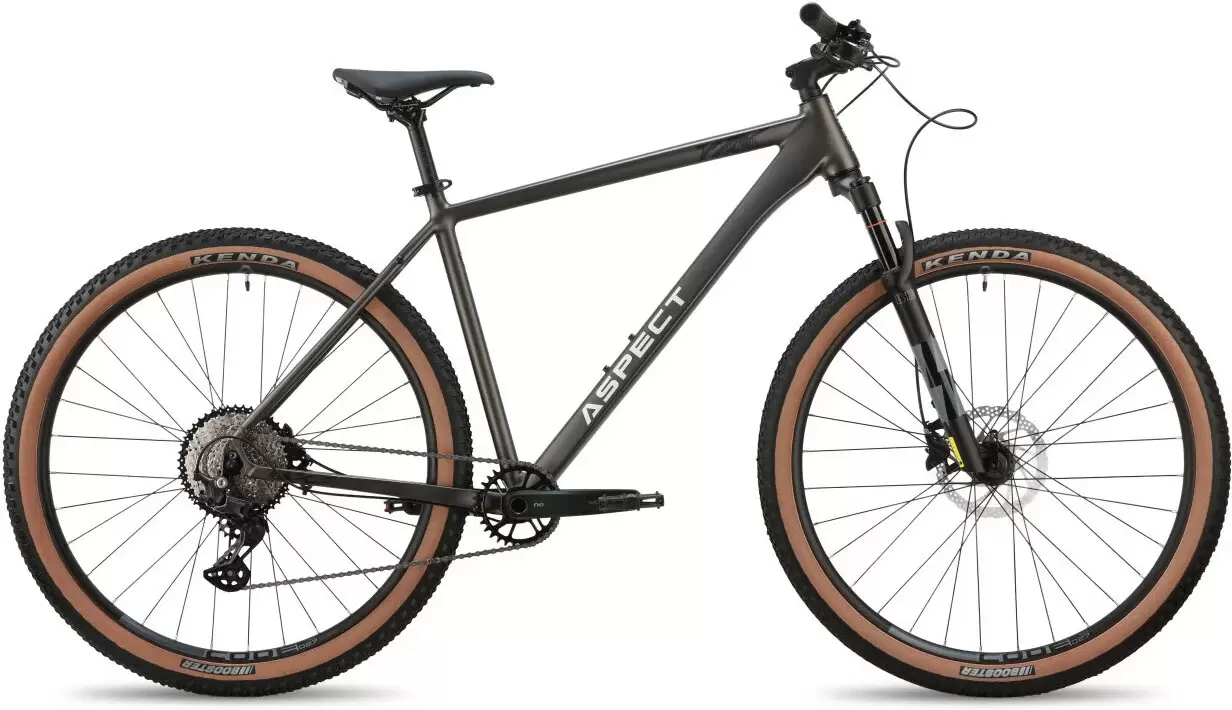 Aspect Big Boy 29 XXL 2026 (серый)