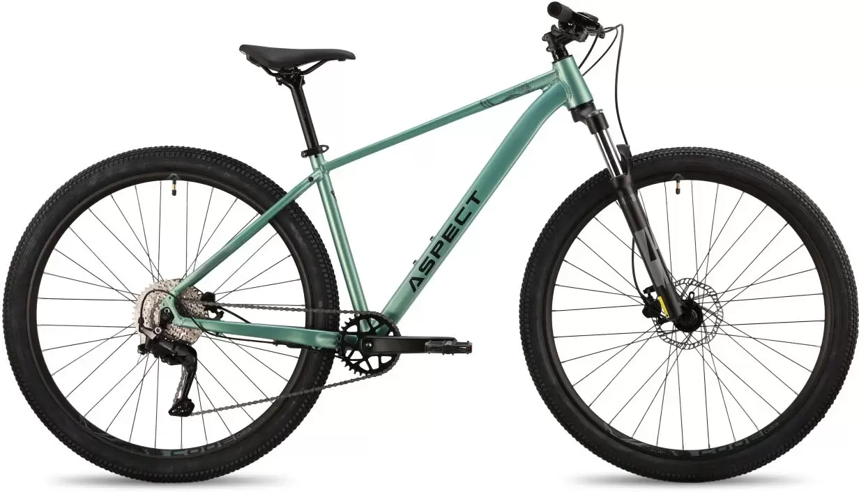 Aspect Nickel Pro 29 M 2026 (зеленый)