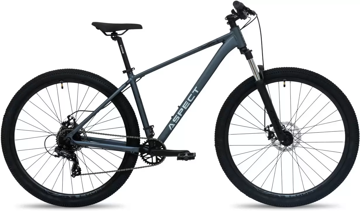 Aspect Radium 29 L 2026 (темно-серый)