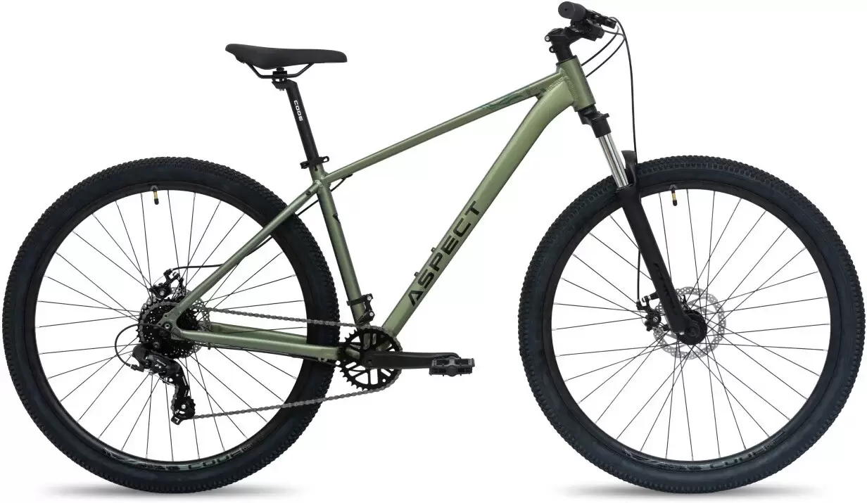 Aspect Radium 29 M 2026 (зеленый)