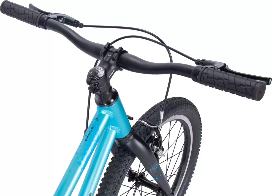 Детский велосипед Aspect Smile 20 2025 (синий) фото