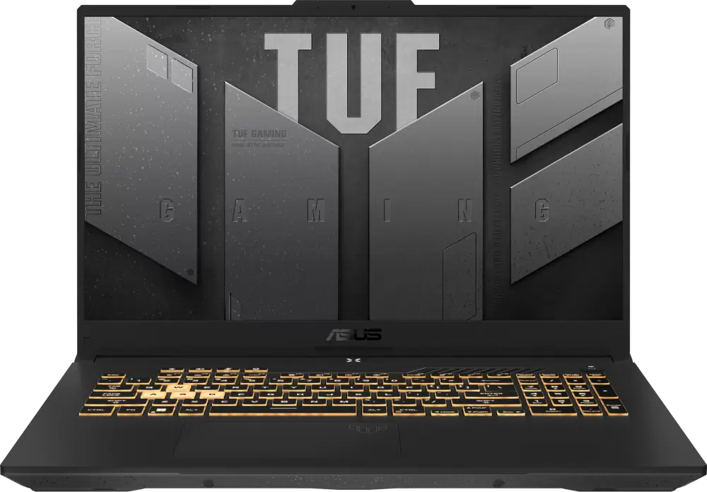 Asus TUF Gaming F17 FX707VUR-HX224
