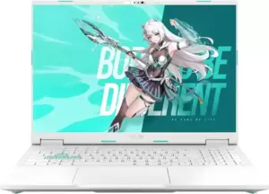 Игровой ноутбук ASUS TUF Gaming Tianxuan F16 FX608JPR14650-0EAFXHB8X10