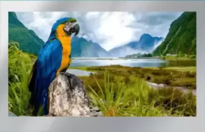 Телевизор AVEL AVS755SMFM фото