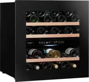 Винный шкаф Avintage AVI60PREMIUM фото