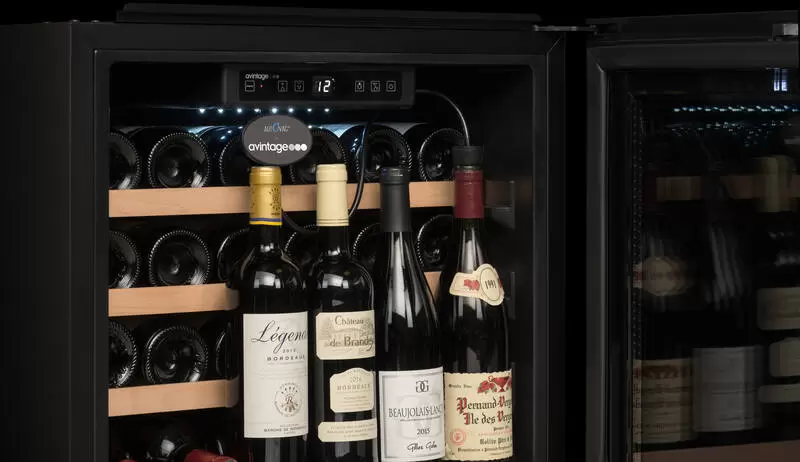 Винный шкаф Avintage AVI63CSZA фото