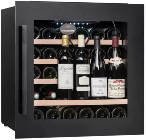 Винный шкаф Avintage AVI63CSZA фото