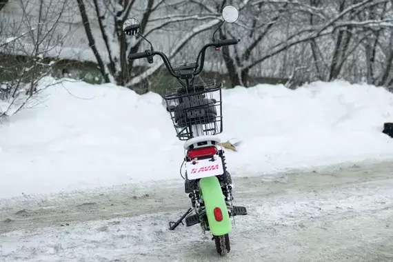 Электросамокат AVM SPM LITE (зеленый) фото