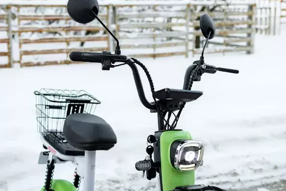 Электросамокат AVM SPM LITE (зеленый) фото