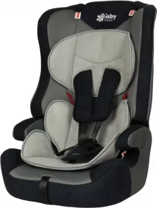 Автокресло Baby Protect Tourneo (black) фото