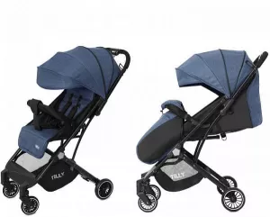 Прогулочная коляска Baby Tilly Bella T-163 (sky blue) icon