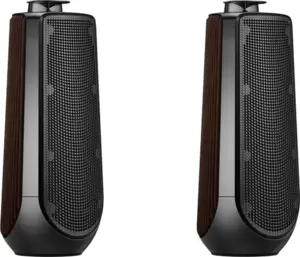 Напольная акустика Bang &#38; Olufsen Beolab 50 Set (black anthracite/black/dark oak) фото