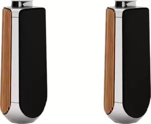 Напольная акустика Bang &#38; Olufsen Beolab 50 Set (natural/black/oak wood) фото