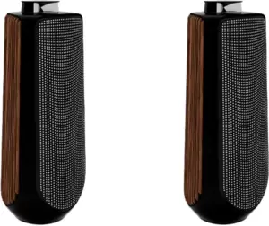 Напольная акустика Bang &#38; Olufsen Beolab 50 Set (piano black/natural aluminium/smoked oak) фото
