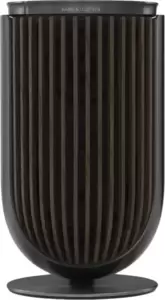 Беспроводная аудиосистема Bang &#38; Olufsen Beolab 8 Table Stand (black anthracite/dark oak) фото