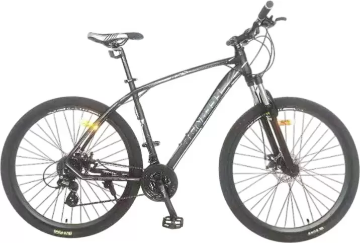 BENETTI Virtu 29 21 (матовый черный/серый)