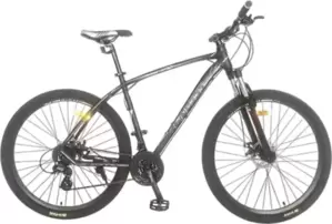 Велосипед BENETTI Virtu 29 21 (матовый черный/серый) icon