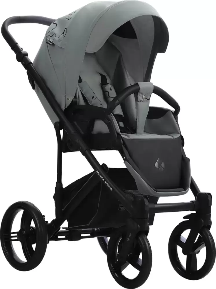 Детская универсальная коляска Bebetto Magnum Light SE 2 в 1 (09, шалфей/черная рама) фото