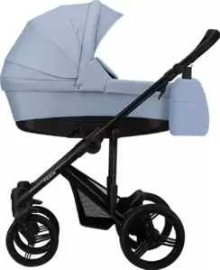 Детская универсальная коляска Bebetto Tiger Lux 2 в 1 (03/рама черная) icon