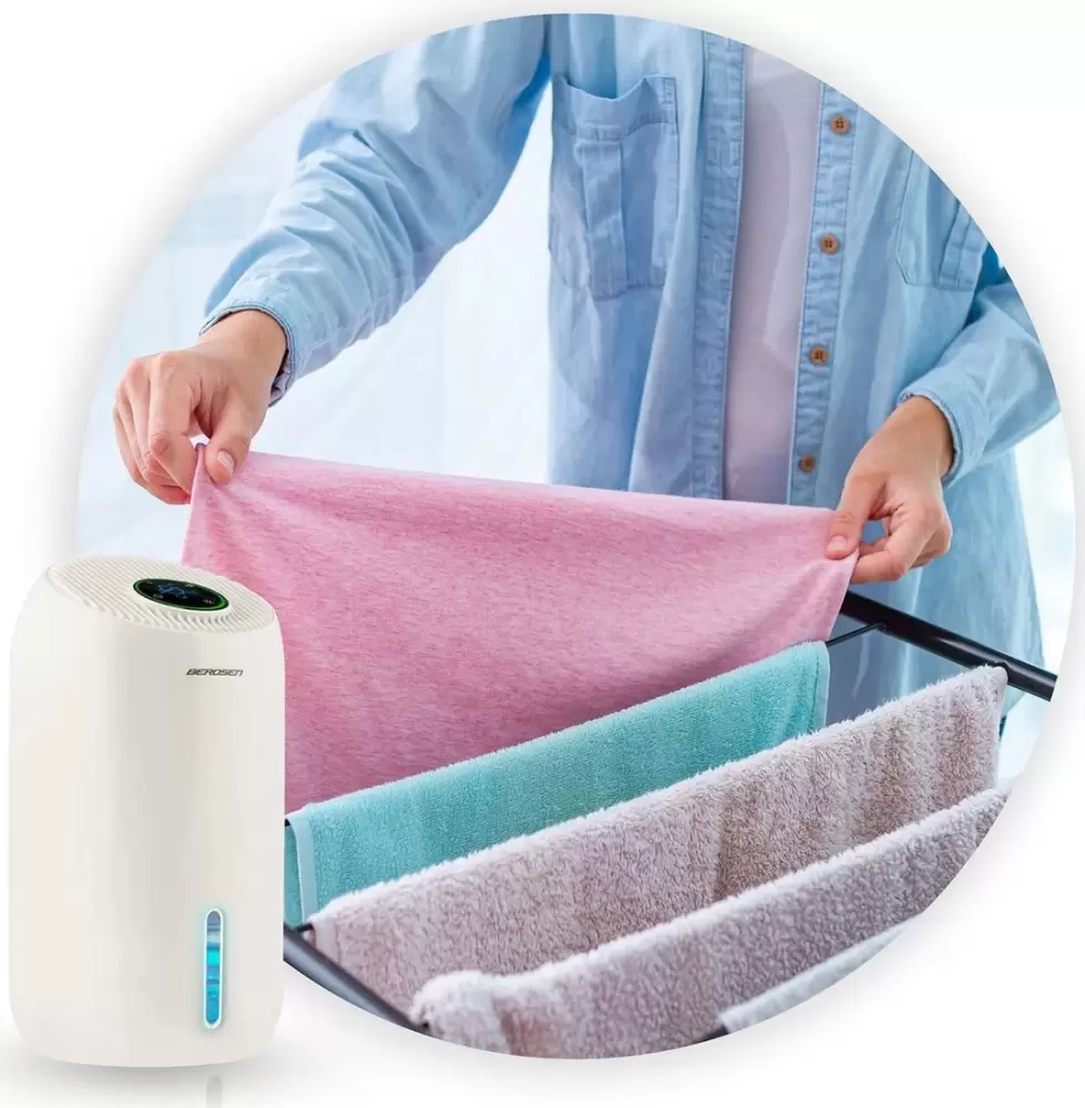 Осушитель воздуха Berdsen BD-529 фото