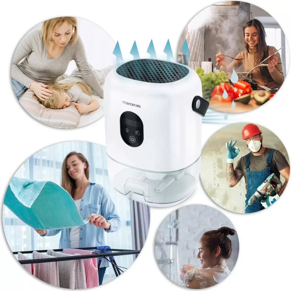 Осушитель воздуха Berdsen BR-10B (белый) фото