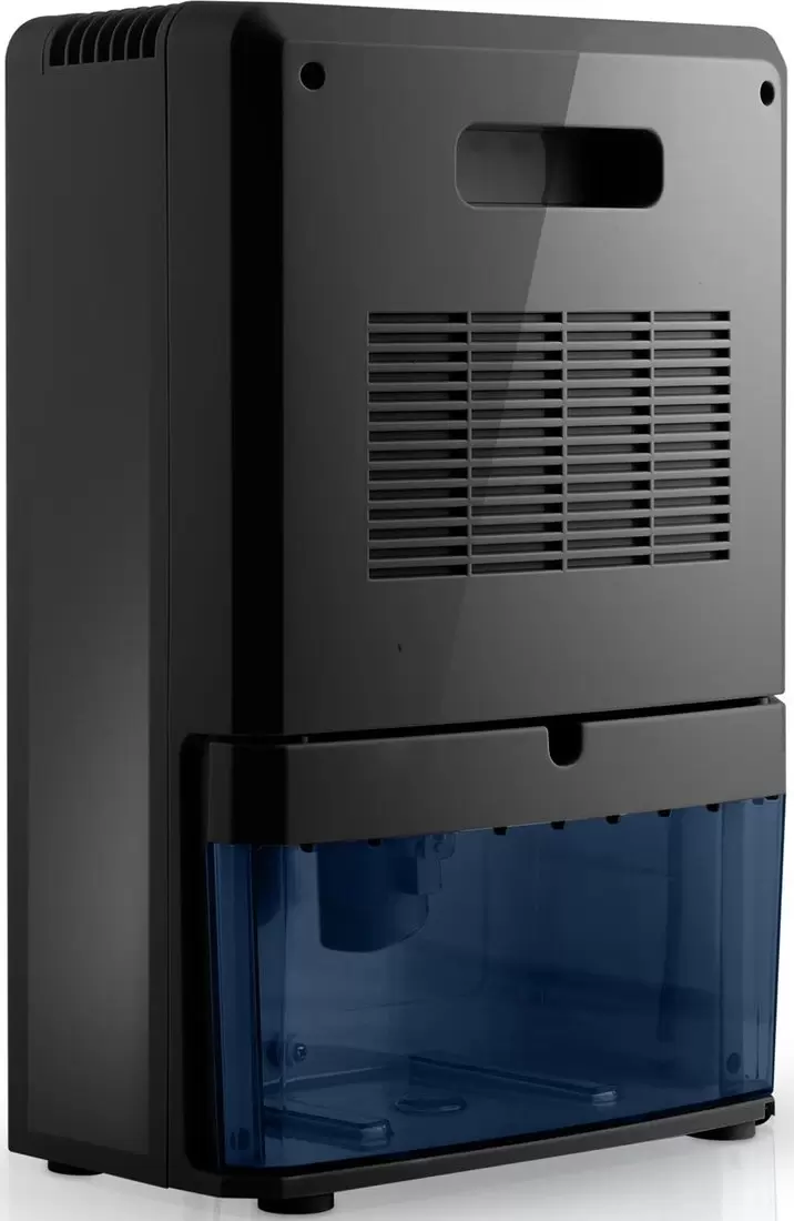 Осушитель воздуха Berdsen BR-22A (чёрный) фото